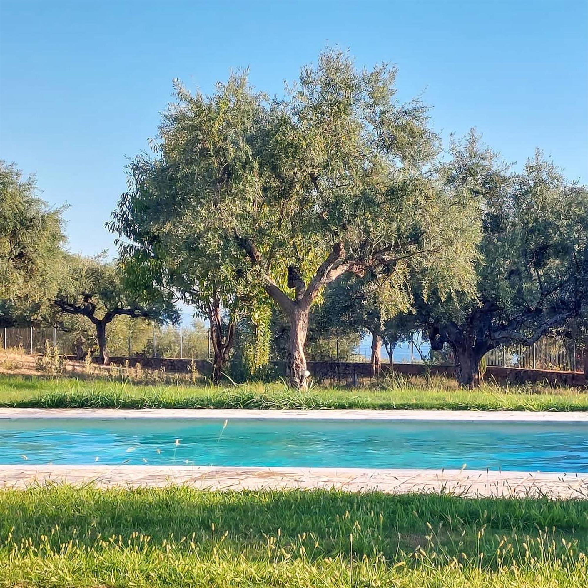 Villa Eleni - Private Pool Bliss Near Kardamili Proástion Extérieur photo